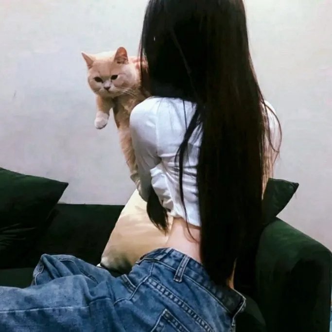 双生赤狐