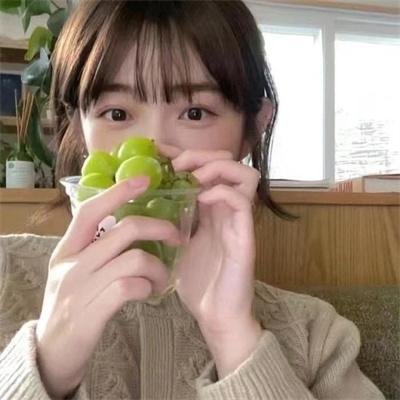 完美的主人